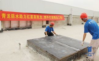 青龍防水 深耕防水行業(yè)20年,匠心打造防水品牌